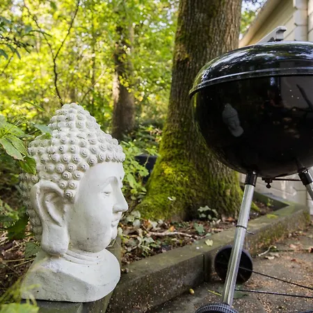 H15, Sauna- En Wellnesschalet Geschikt Voor 2 Personen